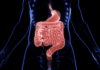 What You Need to Know About Gut Health