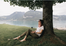 Ocoque Media Commence Tree Servicing & Maintenance Features