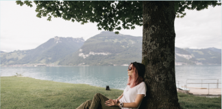 Ocoque Media Commence Tree Servicing & Maintenance Features