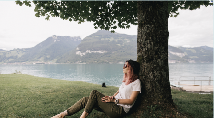 Ocoque Media Commence Tree Servicing & Maintenance Features